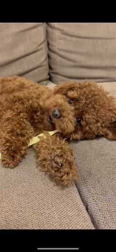 reIMG_0899 5 - まの歯科