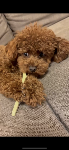 reIMG_0900 5 - まの歯科