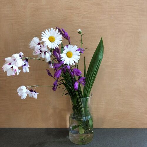 reIMG_0913 - まの歯科