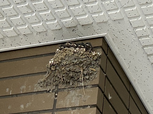 reIMG_6748 - まの歯科