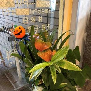 re_IMG_0938 3 - まの歯科