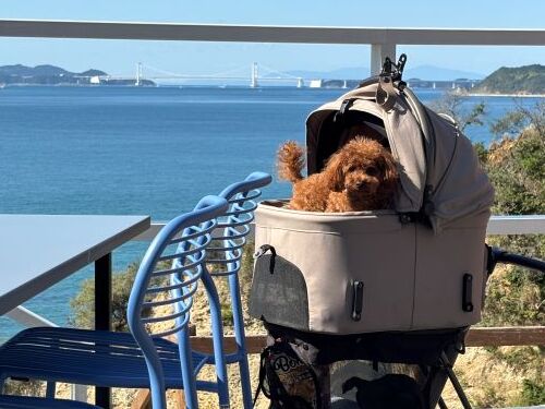 re_IMG_5601 - まの歯科