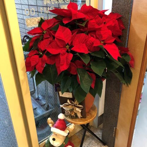 reIMG_0955 2 - まの歯科