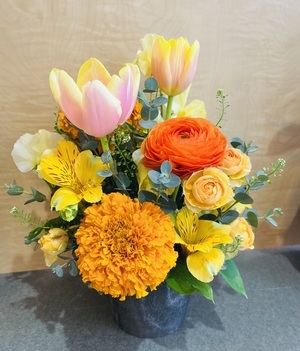 IMG_8419_コピー_コピー