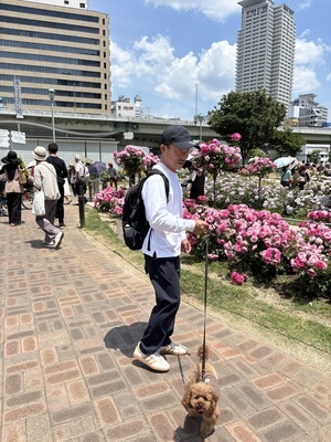 IMG_5993_コピー